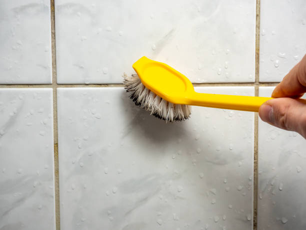 Best Mold Testing  in New Orleans, LA