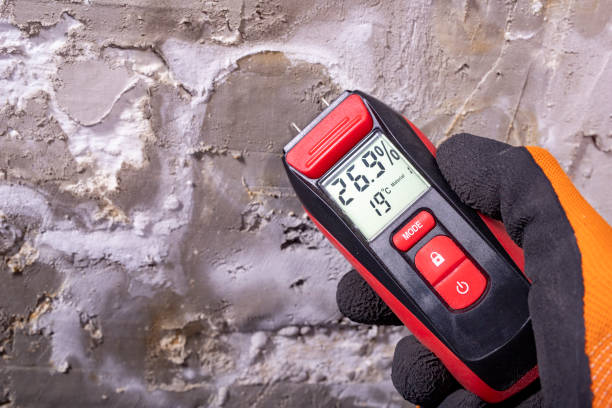 Best Emergency Mold Removal  in New Orleans, LA