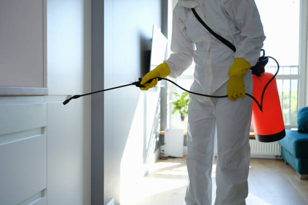 Best Certified Mold Removal  in New Orleans, LA