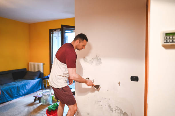 New Orleans, LA Mold Removal Company