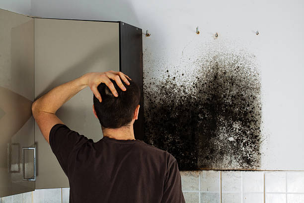 Water Damage Restoration in New Orleans, LA